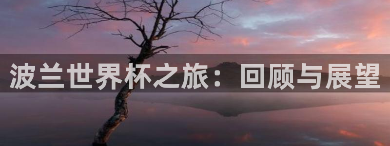 2026年世界杯时间表:波兰世界杯之旅:回顾与展望