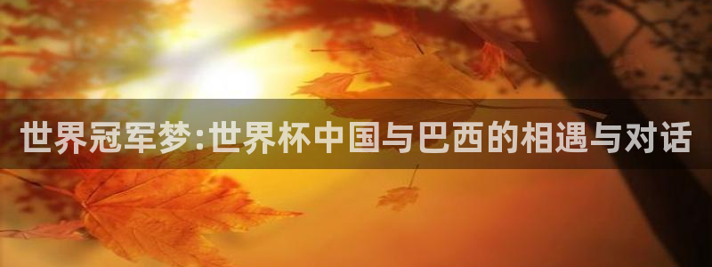 亚洲区世界杯预选赛:世界冠军梦:世界杯中国与巴西的相遇与对话