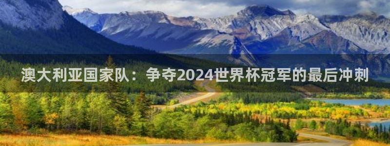世界杯在线直播入口:澳大利亚国家队:争夺2024世界杯冠军的最后冲刺