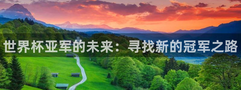 世界杯预赛赛程:世界杯亚军的未来:寻找新的冠军之路