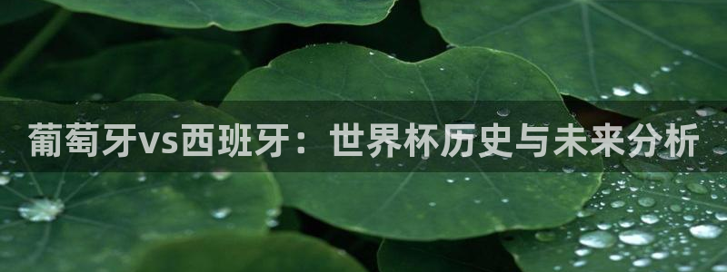 2026世亚预赛赛程表:葡萄牙vs西班牙:世界杯历史与未来分析
